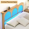 Bed Frame with Rattan Headboard, Boho Cane Platform Bed Frame with LED Lights - image 4 of 4