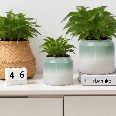green+antique white