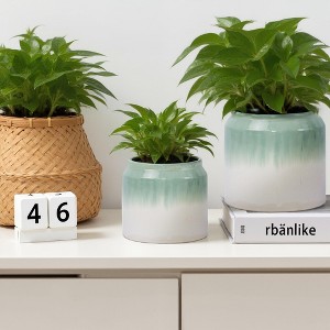 Wooakway 8" Dia Outdoor Indoor Ceramic Planter Pot Decorative Planter with Drainage Hole Patio Flower Pot - 1 of 4