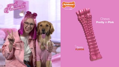 Medium Orange and Clear Chew Treat Dispenser Dog Toy