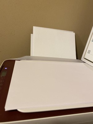 Guest review image 1 of 4, zoom in