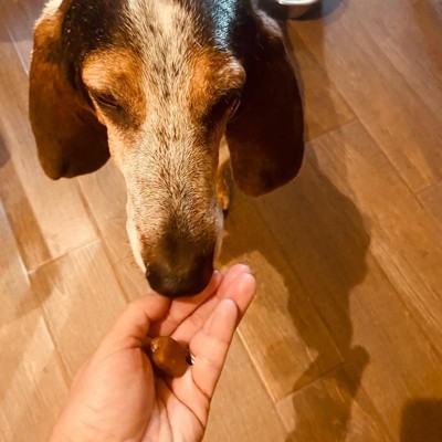 Guest review image 2 of 2, zoom in