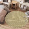 Braided Printed Machine Washable Rug with Rubber Backing for Living Room Non-Slip Dining Room Rug Foldable Contemporary Accent Rug - 3 of 4