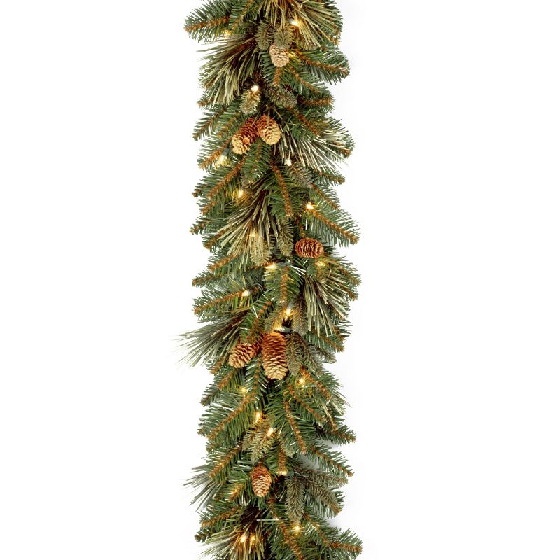 National Tree Company 9 ft. Carolina Pine Garland with Battery Operated LED Lights, 1 of 8