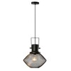 HOMCOM Industrial Pendant Light Fixtures, Black Metal Frame Hanging Ceiling Light with Adjustable Hanging Chain, Black - 4 of 4