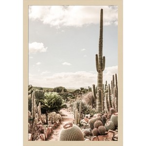 Amanti Art Cactus Farm by Shot by Clint Wood Framed Wall Art Print - 1 of 4