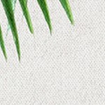 coastal white