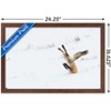 Trends International The Comedy Wildlife Photography Awards: Angela Bohlke - Diving Fox Framed Wall Poster Prints - 3 of 4