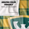 Wayne State University Campus Plaid Spirit Silky Touch Super Soft Throw Blanket 50x60 - 4 of 4