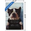 Trends International Lucia Heffernan Art - Boston Mug Shot Framed Wall Poster Prints - 3 of 4