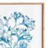 Plum & Post Translucent Coral Print - Blue Framed Art - Coastal Decor - 2 of 4