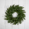 Northlight Real Touch™️ Iced Cedar Artificial Christmas Wreath  - 24" - Unlit - 2 of 4