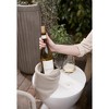 Diatom Chardonnay - 750ml Bottle - 4 of 4