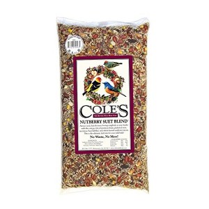 Cole's Wild Bird Food Nutberry Suet Blend - 1 of 3