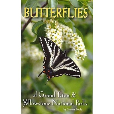Butterflies of Grand Teton & Yellowstone National Parks - by  Steven Poole (Paperback)