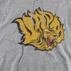 University of Arkansas at Pine Bluff Official Distressed Primary Adult Pull-Over Hoodie - 2 of 4