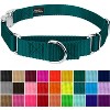 Country Brook Petz Heavyduty Nylon Martingale with Premium Buckle - 3 of 4