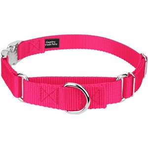 Country Brook Petz Heavyduty Nylon Martingale with Premium Buckle - 1 of 4