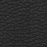 Noir Ash
