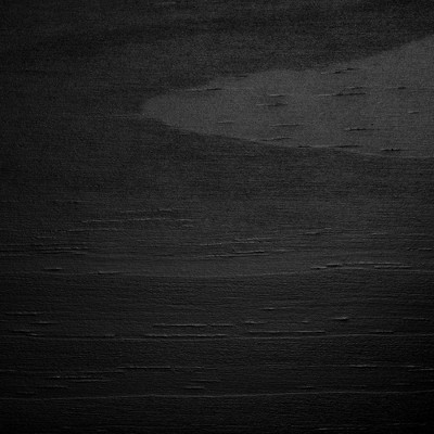 Whimsical Sweedi Twin House Frame Bed in Matte Black