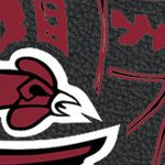 south carolina gamecocks