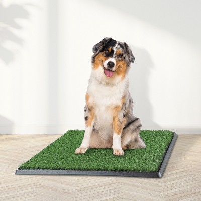 Medium Artificial Grass Puppy Pee Pad with Tray Set