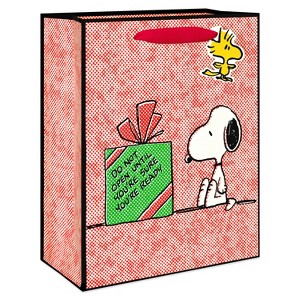 American Greetings 7.75"x4"x9.75" Peanuts Cub Snoopy and Present - 1 of 4