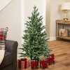Northlight Blue Spruce Artificial Potted Christmas Tree - 4' - Clear Lights - 2 of 4