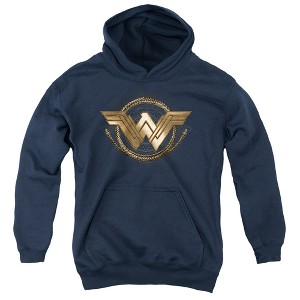 Boys’ Wonder Woman Movie Lasso Logo Hooded Sweatshirt - 1 of 4