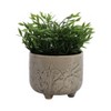 Ceramic Ceramic Planter with Textured Botanical Design, Footed Garden Pot for Home & Outdoor Decor - 5" Cream - 2 of 4