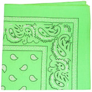 Pack of 200 Paisley Cotton Bandanas Novelty 22 in Headwraps - Wholesale - 1 of 1
