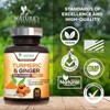 Turmeric Curcumin w/ Ginger & BioPerine Black Pepper - 1,950mg 95% Standardized - 240 Capsules By Nature's Nutrition - 3 of 4