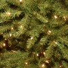 National Tree Company 9' PreLit Dunhill Fir Slim Hinged Tree with 800 Clear Lights 2832 Tips - 3 of 4