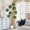 5FT/6FT/7FT Artificial Umbrella Schefflera Tree - Multiple Trunks Design in White Pot - Faux Floor Plant for Home Office or Indoor Decor - 2 of 4