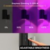 DORESshop 2-Pack 1W Plug-in Light Sensor Cylinder Night Lights with Purple Glow, Black Housing, Dimmable - 3 of 4