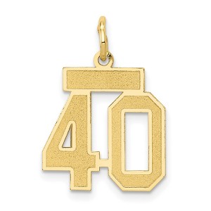 Black Bow Jewelry 14k Yellow Gold, Jersey Collection, Small Number 40 Pendant - 1 of 4