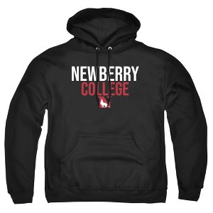 Newberry College Official Stacked Adult Pull-Over Hoodie - 1 of 4