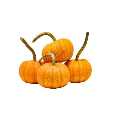Sparkler Ornamental Pumpkin - each