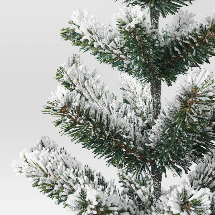 A green colored tree branch covered in white snow against a light background.