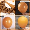 PartyWoo Balloons Burnt Orange Terracotta 36 18 12 10 5 Inch 100 pcs - 2 of 4