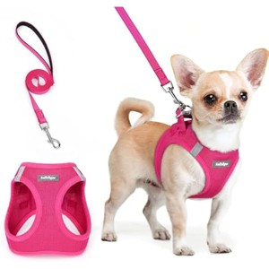 rabbitgoo Dog Harness Small Sized and Leash Set, Step in Soft Light Puppy Pet Harness, Reflective for Safe Easy Walking, Rose Red XXS - 1 of 1