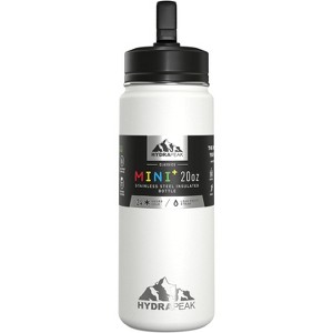 Hydrapeak 20oz Kids Stainless Steel Leak Proof Water Bottle with Straw Lid and Flexible Handle - 1 of 4
