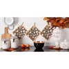 Design Imports It'S Fall Y'All Swedish Dishcloth Set/3 - 3 of 4