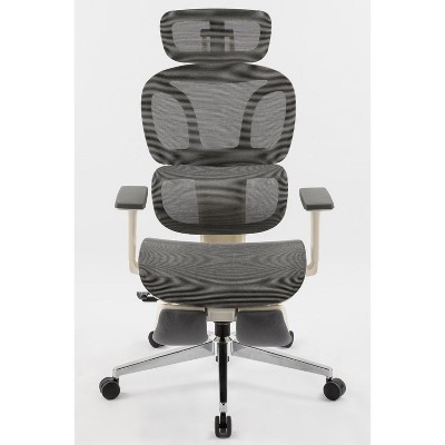 MaseiKar Ergonomic Office Chair with Footrest, High Back Computer Office Chair with Dynamic Lumbar Support, Mesh Home Office Desk Chair for Adults