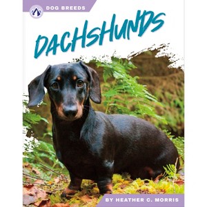 Dachshunds - by  Heather C Morris (Paperback) - 1 of 1