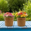 Wooakway 15" Dia Outdoor Indoor Ceramic Planter Pot Decorative Planter with Drainage Hole Patio Flower Pot - 2 of 4