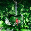 Pavilion Gift Company - Greatest Treasure - 4.75" Mirrored Glass Ornament - Tree Ornaments - 2 of 4