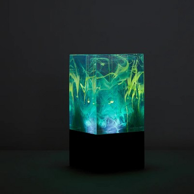 aurora