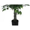 Monarch Specialties Artificial Plant 58 inch Tall Ficus Tree Indoor Faux Fake Floor Greenery Potted Decorative Green Leaves Black Pot - 3 of 4