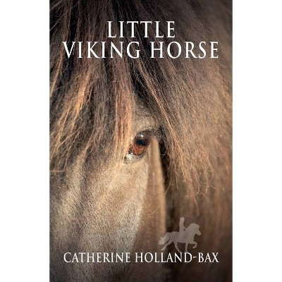 Little Viking Horse - by  Catherine Holland-Bax (Paperback)